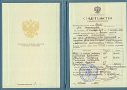 диплом мастер